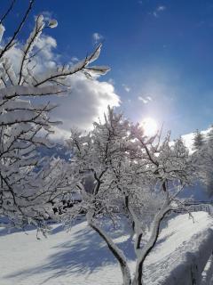 Gästeheim Pötscher - 6