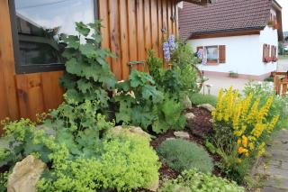 Ferienwohnung Boch Schluchsee - 0