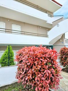 Philoxenia Beach Apartments Stavros - 8