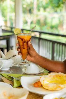 Evergreen Villa - Sinharaja - 7