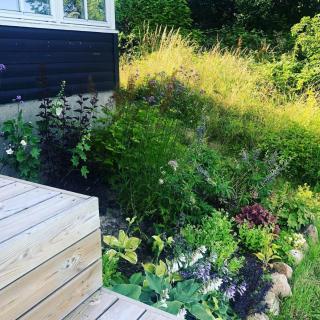 Solopgange Og Ro Ved Bredetved Strand - 7