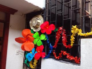 Ideal house for Carnival - 8