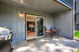 Ground floor Condo near downtown and river - 2