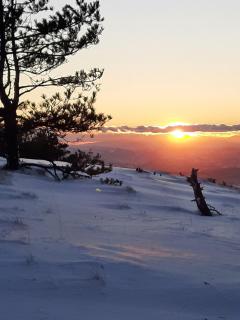 Apartman Jovanic - 8