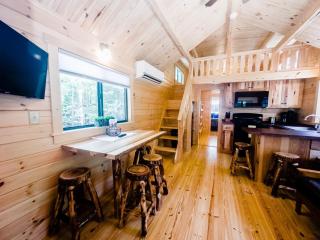 Cozy Coastal Cabin 4 - 9