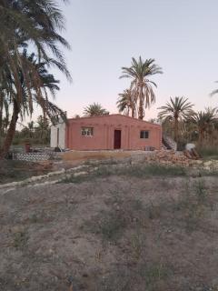 Villa Rumi Siwa - 3