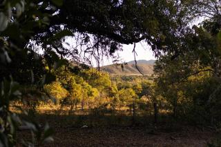 Pousada Fazenda São Bento - 6