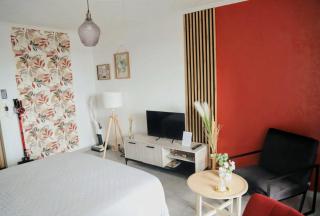 Séjour idéal Zoo de Beauval & Châteaux - 4