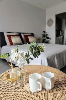 Séjour idéal Zoo de Beauval & Châteaux - 6