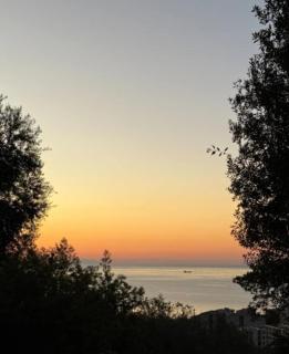 Appartement T3 de charme avec Terrasse - Hauteurs Bastia - 0