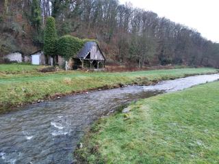 gite du Bois Tasseau - 4
