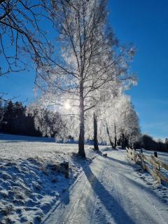 Apartmány u Dontů - 2