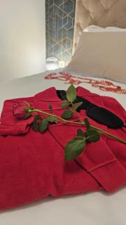 Luxury Opus - Self Check in, Free Private Parking - 7