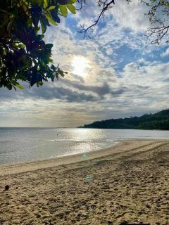 Backpackers Breakfast Dinner at SeaSide HomeStay Flexible Split-Stay with Airport Shuttle Service - 1