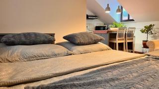 Samobor Old Town Studio by the River - 7