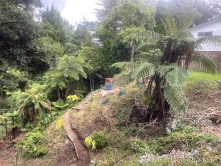 Gully-view studio by the CBD - 2