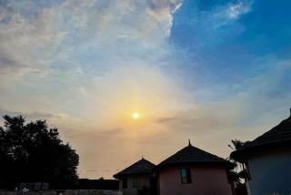 Chikadi Huts Resort - 2