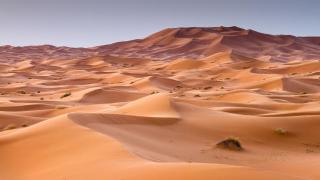 Chams Luxury Camp - 1