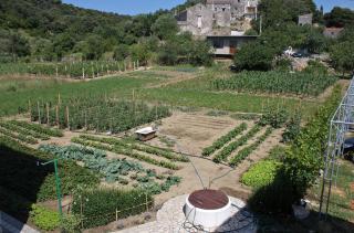 Apartments and rooms with parking space Palit, Rab - 5039 - 1