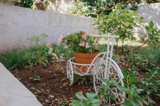 Apartments by the sea Arbanija - Ciovo - 1085 - 2