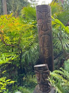 Magnolia Petal Accommodation - 7