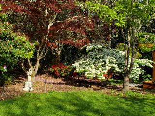 The Roost at Hidden Owl Farmstead - Luxury 1 Bdrm Cottage near Wineries and Lake - 8