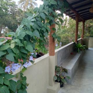 Hiriketiya Mahi Surf - 8