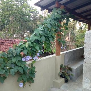 Hiriketiya Mahi Surf - 9
