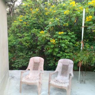 Hiriketiya Mahi Surf - 1