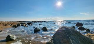 Malina guest house - 9