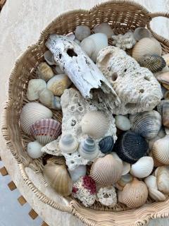 Bokarina Beachfront Penthouse - Oceanfront Luxury with Exclusive Rooftop Pool & Steam Room - 2