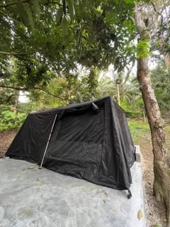 Rasa Durio Eco Glampz - 9