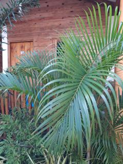 Dot b beach cabins - 8