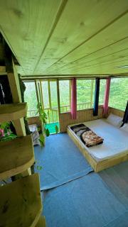 Jibhi Pine Nature Tree house - 2