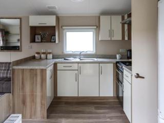 Acorn 1 - Ukc8213 - 7