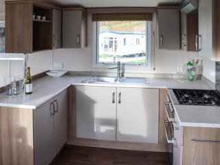 Birch 4 - Ukc8217 - 6