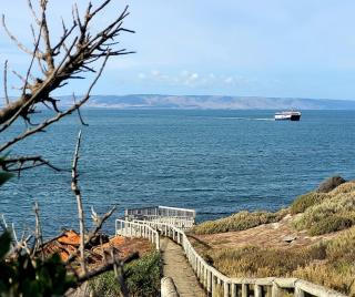 Brownlow Beach Shack - 5