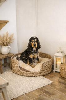 The Little Lobster - 6