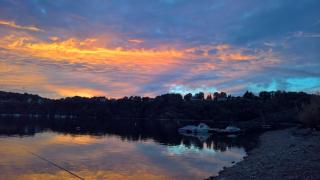 Les Fougères Du Lac - 2