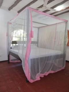 Beach Paradise with Kite,Dive and more - 4