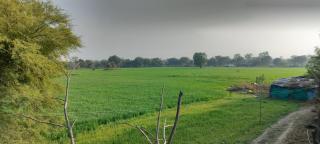 Rustic Tent Stay near Khajuraho Temples - 3