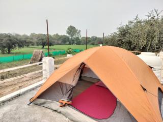 Rustic Tent Stay near Khajuraho Temples - 2