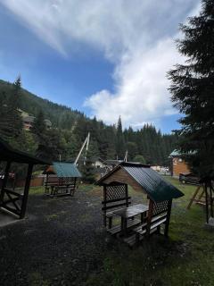 Лісова тиша номер - 1 - 1