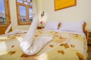 Shams Hotel & Dive Centre - Dahab - 9