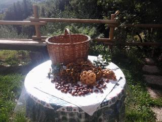 Bed and breakfast Al posto bello - Perugia - 4