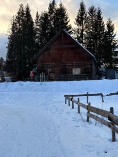 Zum Alpenreichapartment Bad Mitterndorf - 6