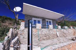 Robinson Veritas - 8