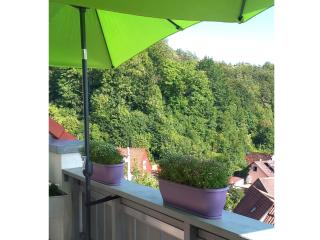 Ferienhaus Schlossblick - 9