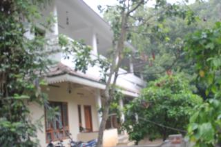 Horn Bill Cottage - 9