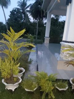 Liberty homestay -  - 1